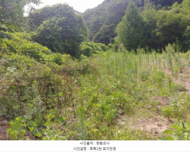 2025타경502953 충청남도 금산군 남이면 성곡리 268 농지 경매 이미지