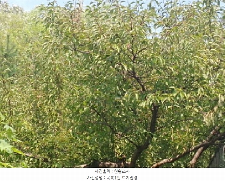 2025타경502953 충청남도 금산군 남이면 성곡리 268 농지 경매 이미지