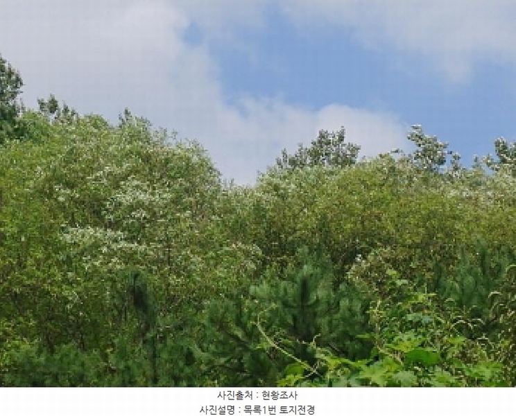 2025타경502953 충청남도 금산군 남이면 성곡리 268 농지 경매 이미지