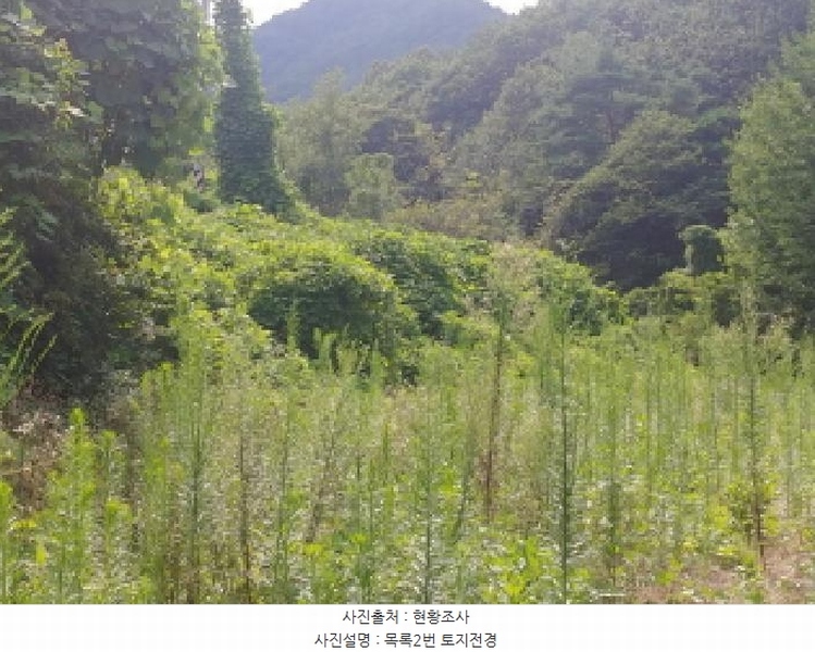 2025타경502953 충청남도 금산군 남이면 성곡리 268 농지 경매 이미지