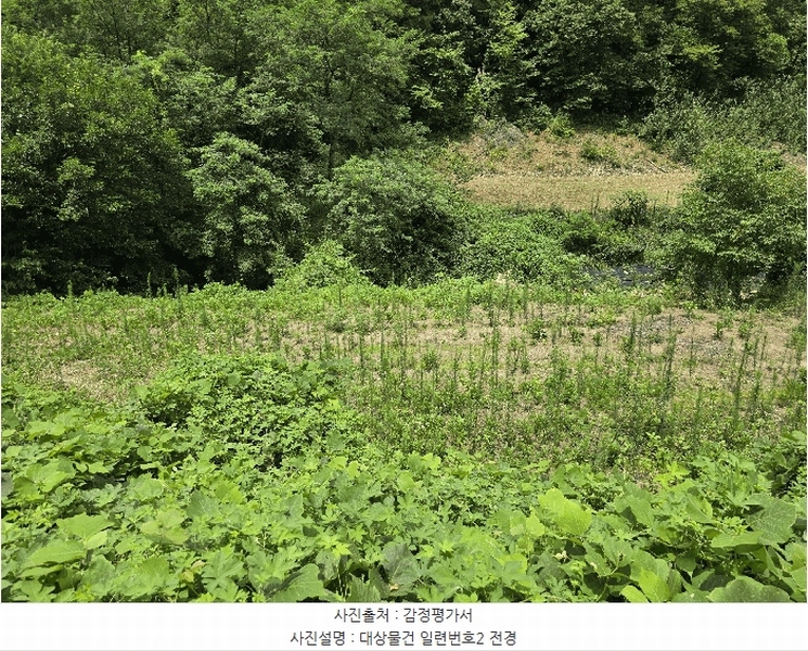 2025타경502953 충청남도 금산군 남이면 성곡리 268 농지 경매 이미지