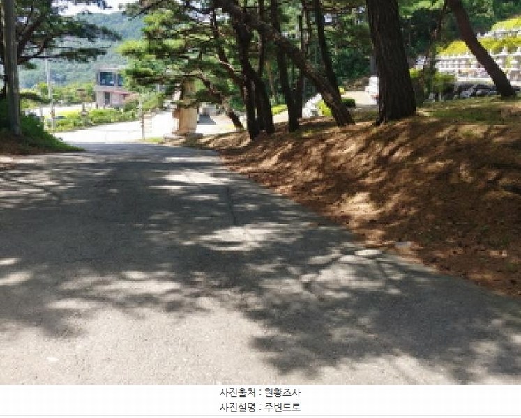 2025타경502981 충청남도 금산군 추부면 서대리 29 임야 경매 이미지