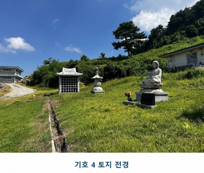 2025타경502981 충청남도 금산군 추부면 서대리 29 임야 경매 이미지