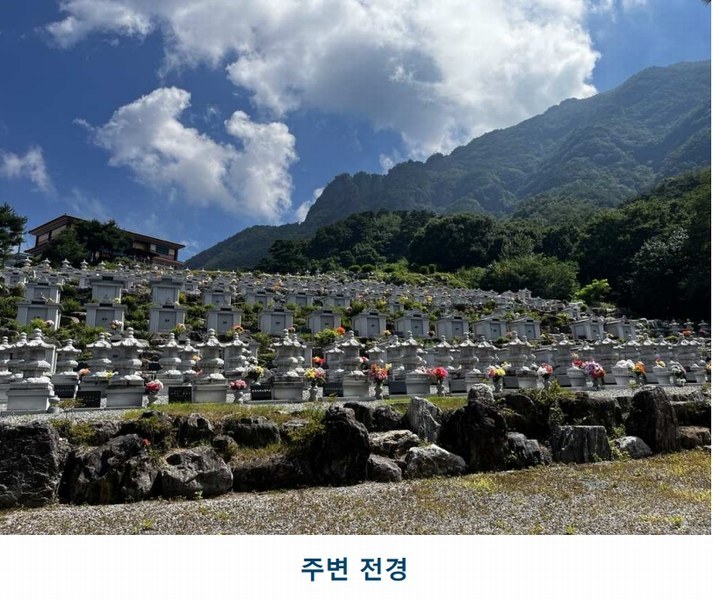 2025타경502981 충청남도 금산군 추부면 서대리 29 임야 경매 이미지