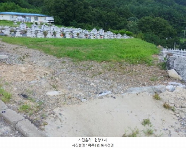 2025타경502981 충청남도 금산군 추부면 서대리 29 임야 경매 이미지