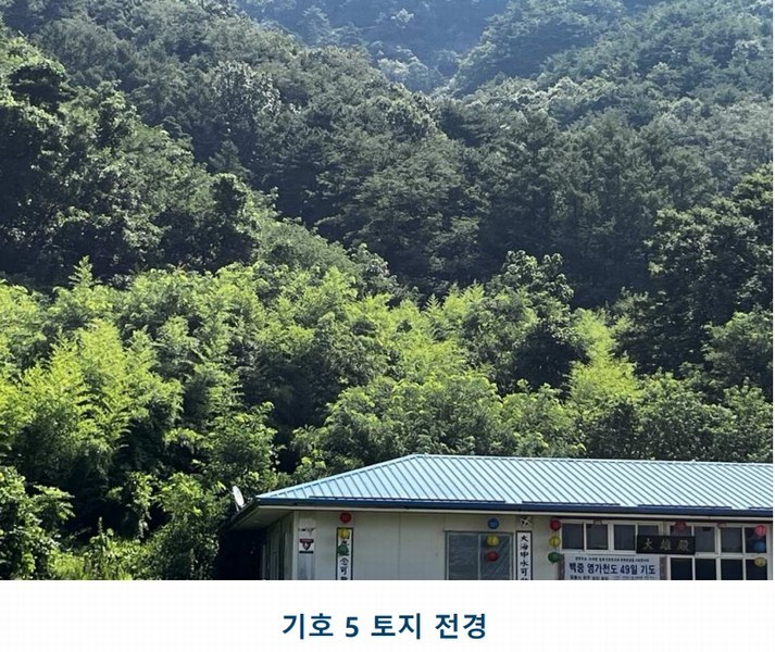 2025타경502981 충청남도 금산군 추부면 서대리 29 임야 경매 이미지