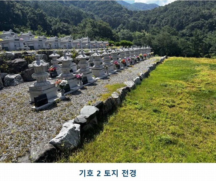 2025타경502981 충청남도 금산군 추부면 서대리 29 임야 경매 이미지