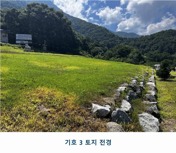 2025타경502981 충청남도 금산군 추부면 서대리 29 임야 경매 이미지