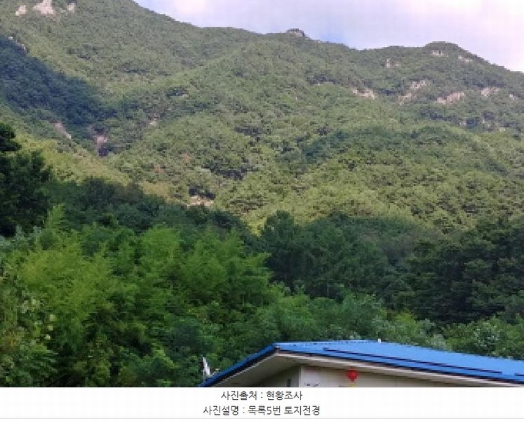 2025타경502981 충청남도 금산군 추부면 서대리 29 임야 경매 이미지