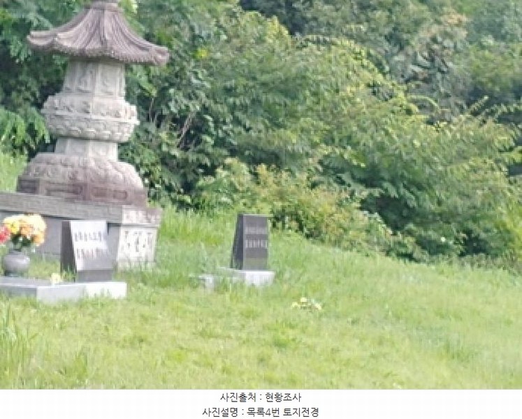2025타경502981 충청남도 금산군 추부면 서대리 29 임야 경매 이미지