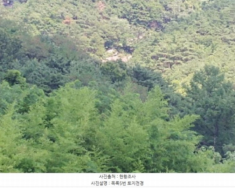 2025타경502981 충청남도 금산군 추부면 서대리 29 임야 경매 이미지