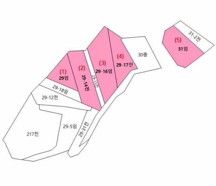 2025타경502981 충청남도 금산군 추부면 서대리 29 임야 경매 이미지