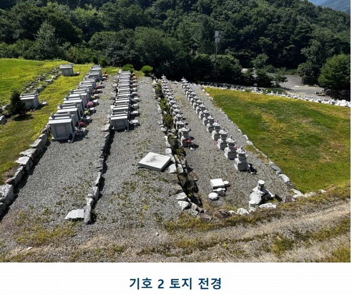 2025타경502981 충청남도 금산군 추부면 서대리 29 임야 경매 이미지