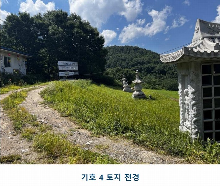 2025타경502981 충청남도 금산군 추부면 서대리 29 임야 경매 이미지