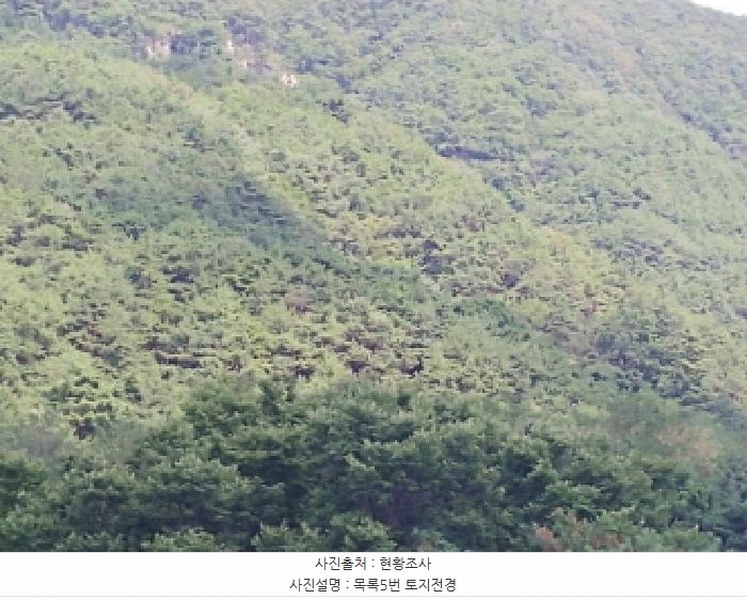 2025타경502981 충청남도 금산군 추부면 서대리 29 임야 경매 이미지