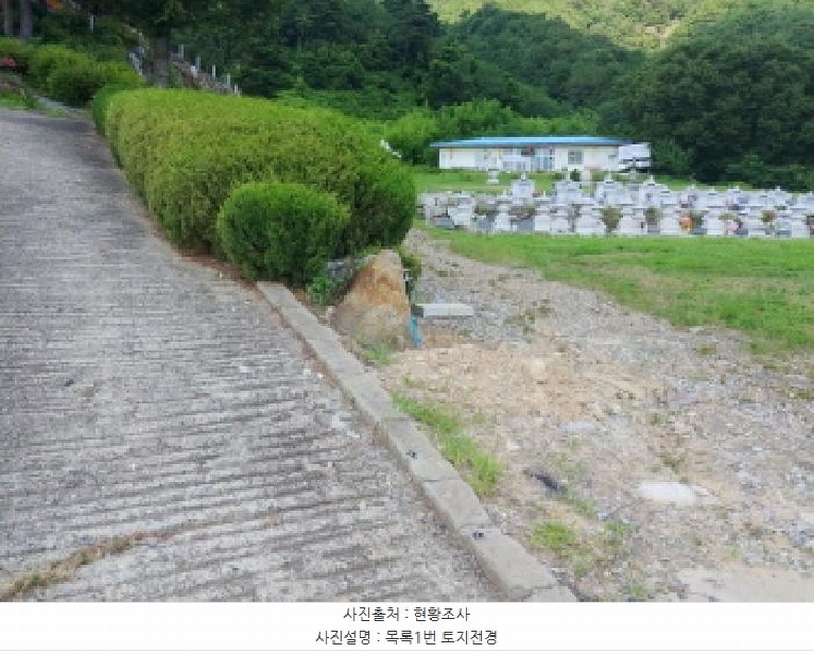 2025타경502981 충청남도 금산군 추부면 서대리 29 임야 경매 이미지