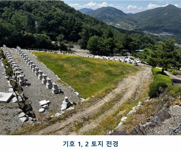 2025타경502981 충청남도 금산군 추부면 서대리 29 임야 경매 이미지