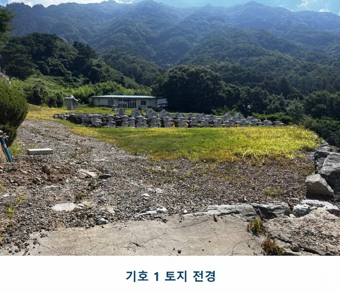 2025타경502981 충청남도 금산군 추부면 서대리 29 임야 경매 이미지