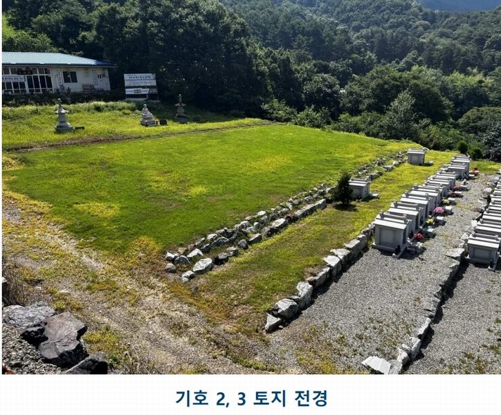 2025타경502981 충청남도 금산군 추부면 서대리 29 임야 경매 이미지