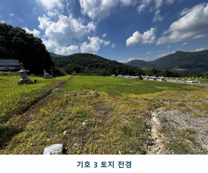 2025타경502981 충청남도 금산군 추부면 서대리 29 임야 경매 이미지