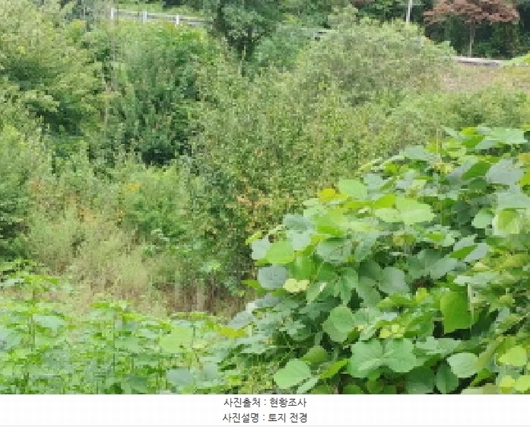 2025타경503014 충청남도 금산군 진산면 읍내리 368-7 농지 경매 이미지