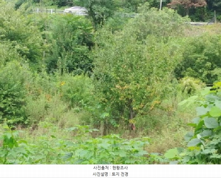 2025타경503014 충청남도 금산군 진산면 읍내리 368-7 농지 경매 이미지