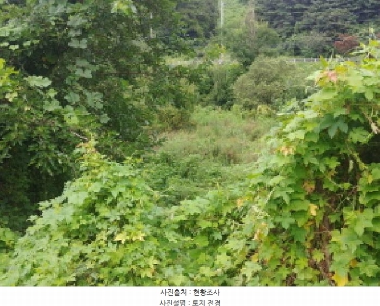 2025타경503014 충청남도 금산군 진산면 읍내리 368-7 농지 경매 이미지