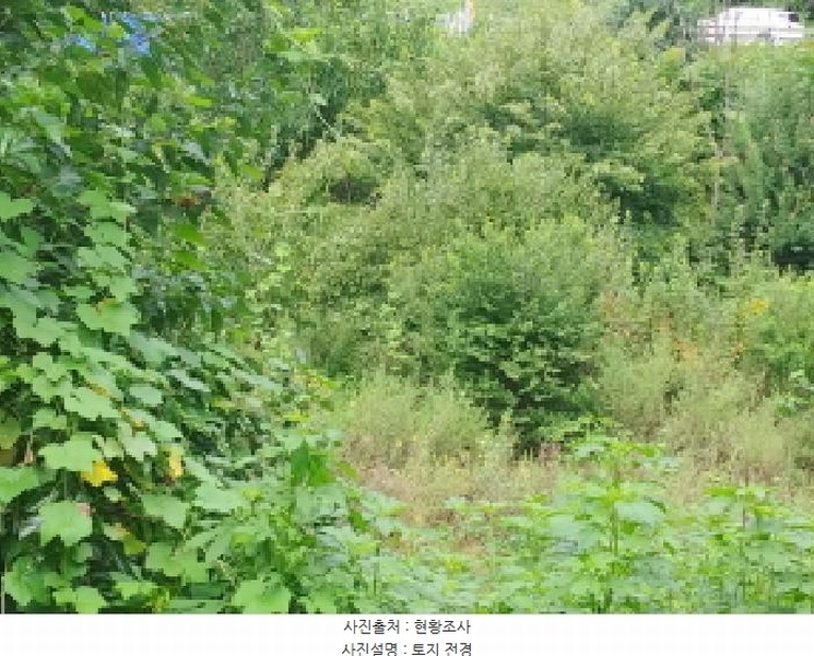 2025타경503014 충청남도 금산군 진산면 읍내리 368-7 농지 경매 이미지
