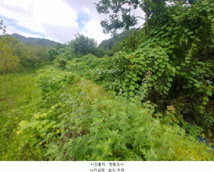 2025타경503014 충청남도 금산군 진산면 읍내리 368-7 농지 경매 이미지
