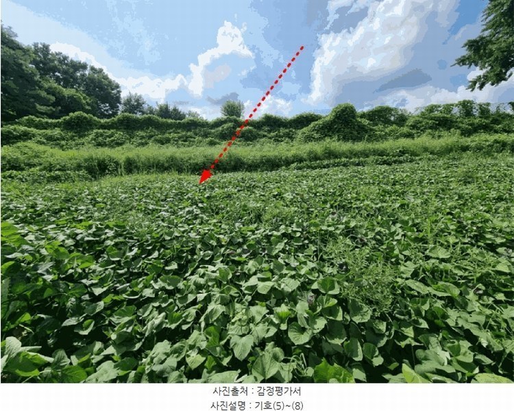 2025타경503138 세종특별자치시 연기면 연기리 423-40 농지 경매 이미지
