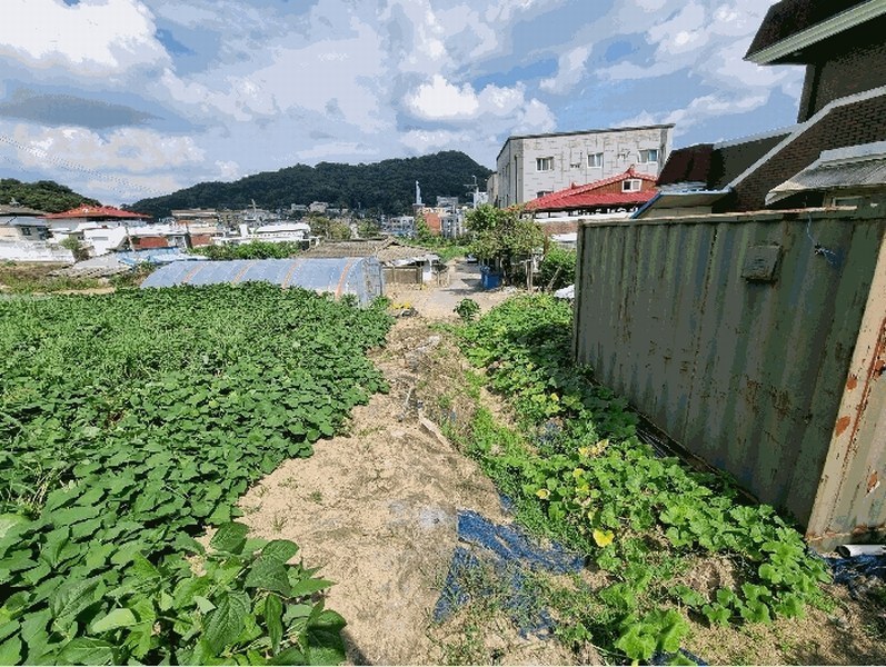 2025타경503138 세종특별자치시 연기면 연기리 423-40 농지 경매 이미지