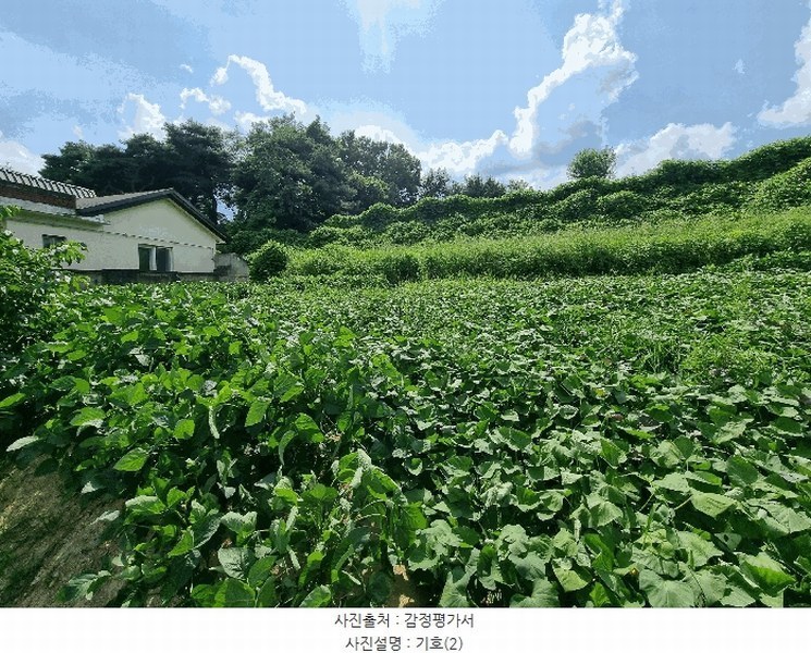 2025타경503138 세종특별자치시 연기면 연기리 423-40 농지 경매 이미지