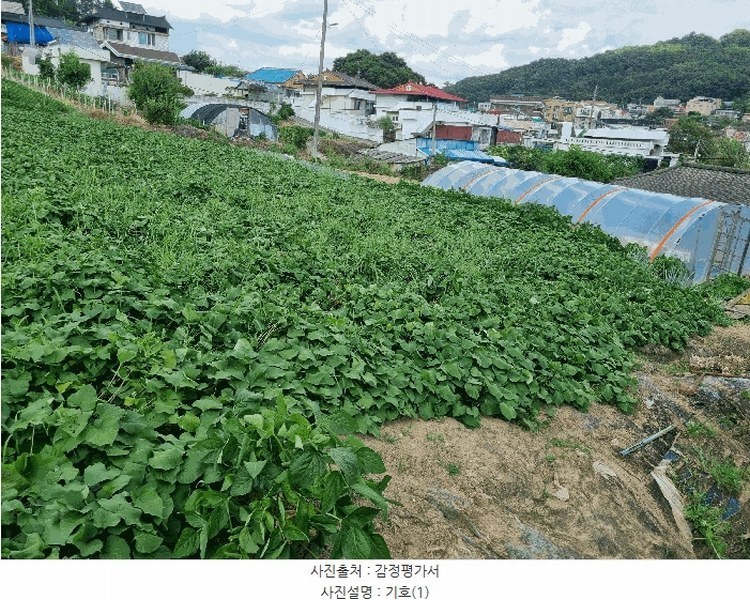 2025타경503138 세종특별자치시 연기면 연기리 423-40 농지 경매 이미지