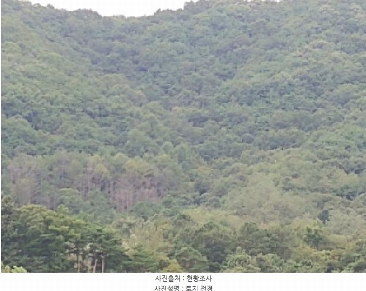 2025타경503372 충청남도 금산군 군북면 조정리 산131 임야 경매 이미지