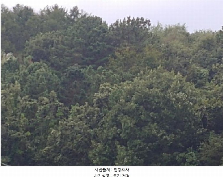 2025타경503372 충청남도 금산군 군북면 조정리 산131 임야 경매 이미지