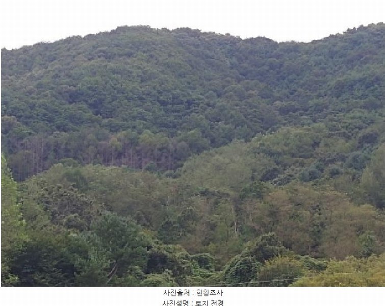 2025타경503372 충청남도 금산군 군북면 조정리 산131 임야 경매 이미지
