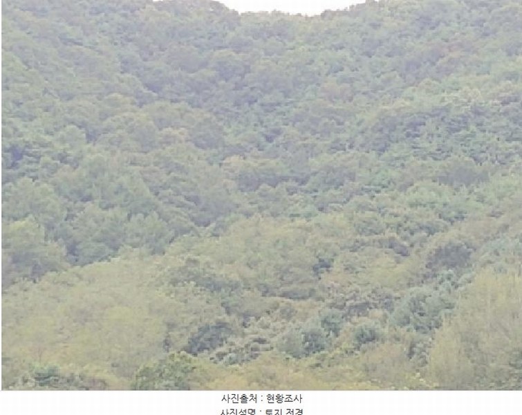 2025타경503372 충청남도 금산군 군북면 조정리 산131 임야 경매 이미지