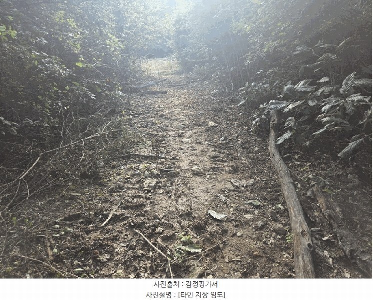 2025타경503372 충청남도 금산군 군북면 조정리 산131 임야 경매 이미지