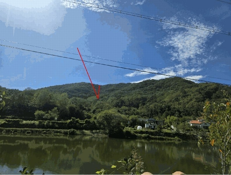 2025타경503372 충청남도 금산군 군북면 조정리 산131 임야 경매 이미지