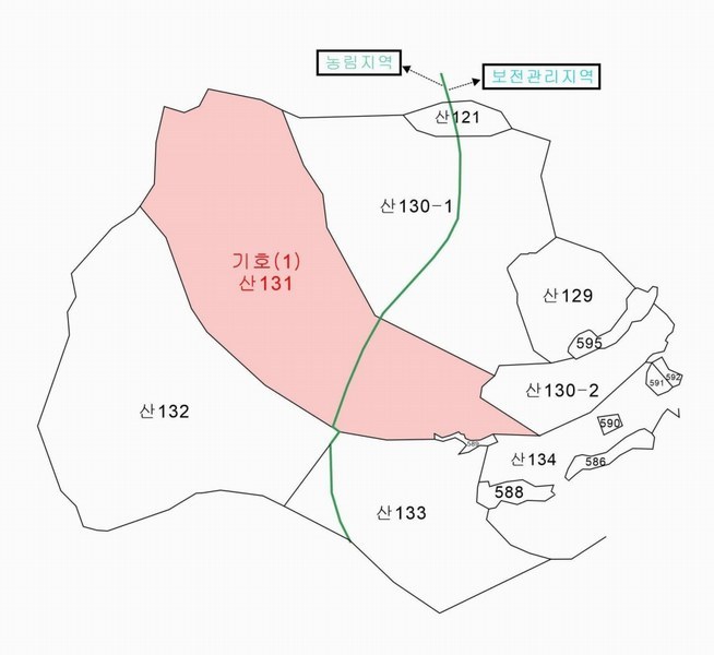 2025타경503372 충청남도 금산군 군북면 조정리 산131 임야 경매 이미지