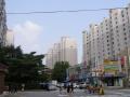 2025타경10959 서울특별시 노원구 섬밭로 232, 현대아파트 104동 3층 306호 아파트 경매 이미지