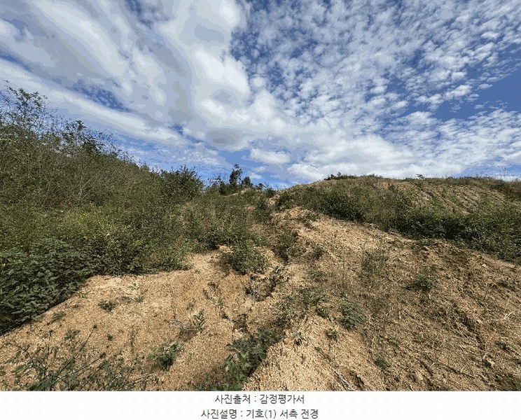 2025타경503450 세종특별자치시 장군면 하봉리 429-3 임야 경매 이미지
