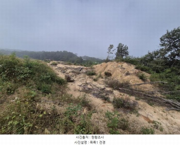 2025타경503450 세종특별자치시 장군면 하봉리 429-3 임야 경매 이미지
