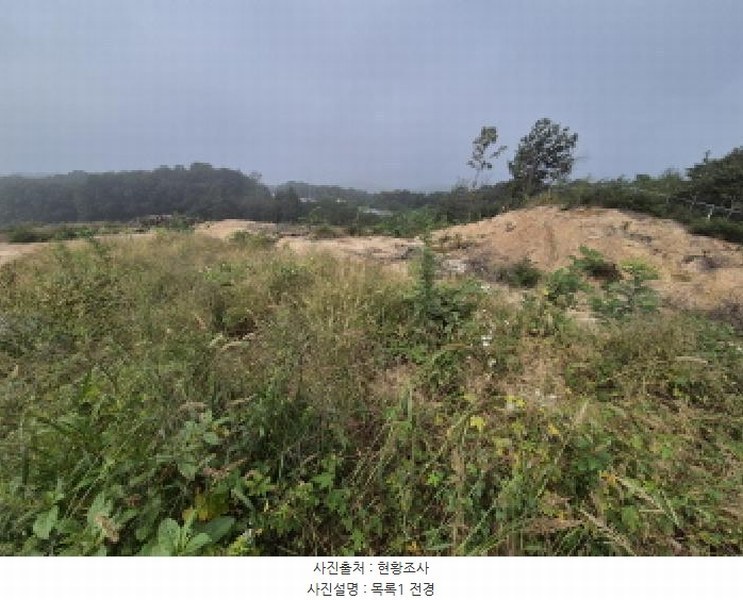 2025타경503450 세종특별자치시 장군면 하봉리 429-3 임야 경매 이미지