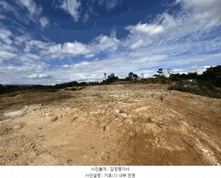 2025타경503450 세종특별자치시 장군면 하봉리 429-3 임야 경매 이미지