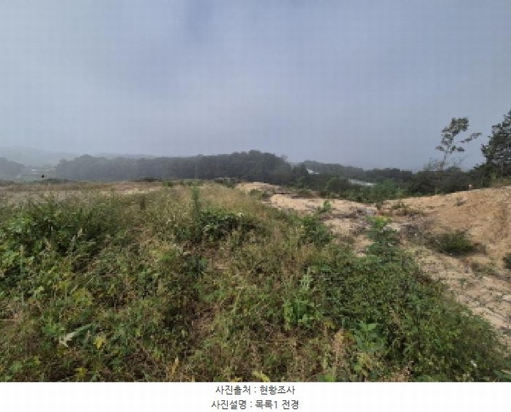 2025타경503450 세종특별자치시 장군면 하봉리 429-3 임야 경매 이미지