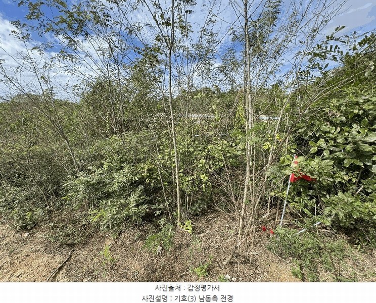 2025타경503450 세종특별자치시 장군면 하봉리 429-3 임야 경매 이미지