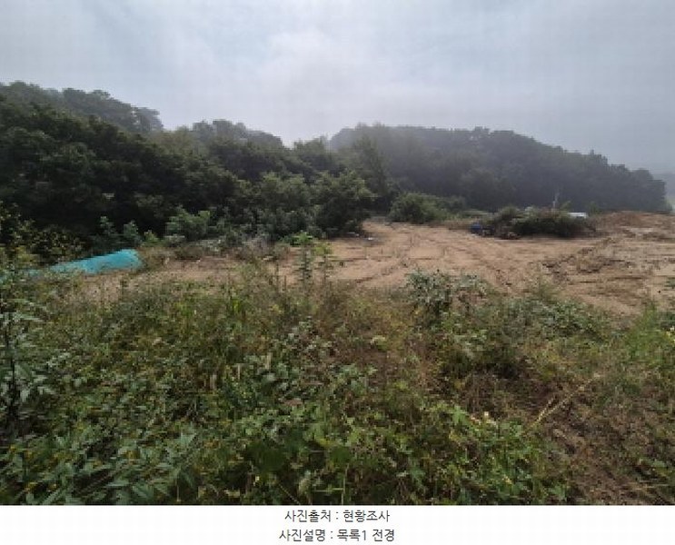2025타경503450 세종특별자치시 장군면 하봉리 429-3 임야 경매 이미지