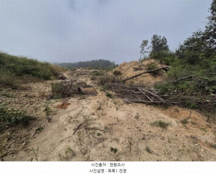 2025타경503450 세종특별자치시 장군면 하봉리 429-3 임야 경매 이미지