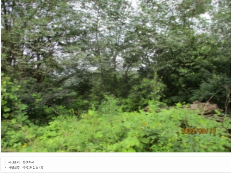 2022타경7723 충청남도 금산군 부리면 수통리 728-6 농지 경매 이미지